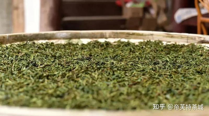 帝芙特說茶普洱茶湯渾濁是這道工序出問題了