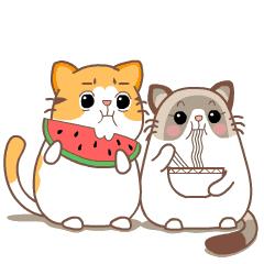 东瀛志没错我就是喜欢不是十分元气的gakki