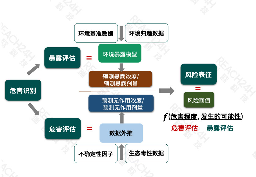 三,農藥風險評估原理和方法