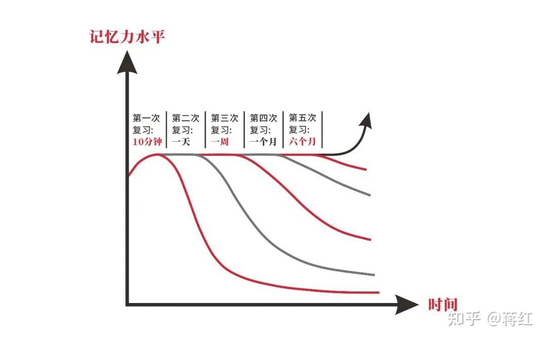 记忆习惯决定了你学习成果的下限