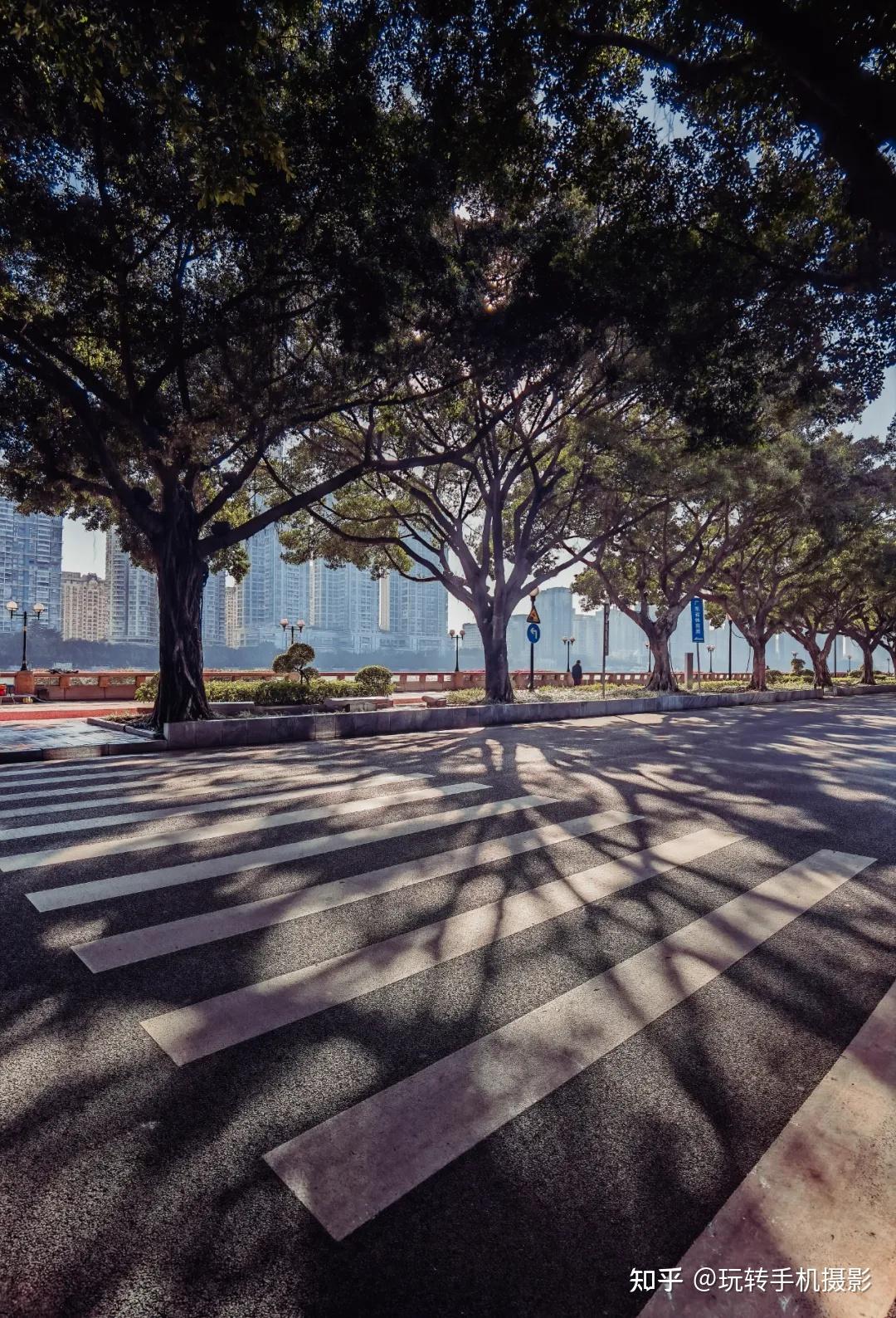 光影这样拍照片真的很加分