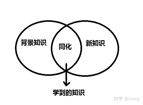 是对新知识进行心理组织,并将它同已有知识进行同化的过程