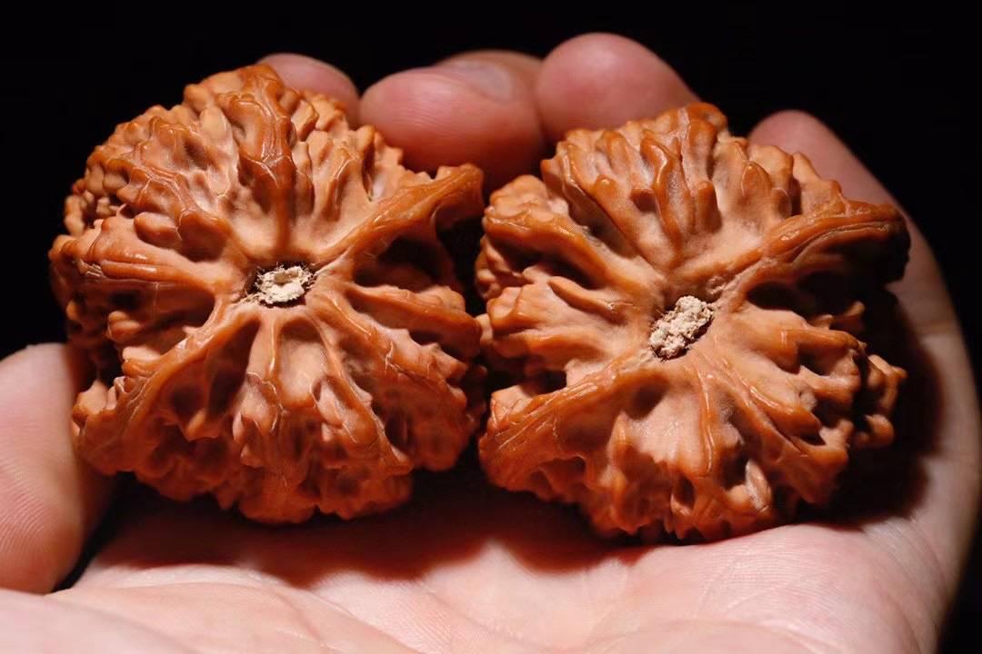 南疆石文玩核桃凹底拉丝蚂蚁纹炮弹桩南将石老树野生狮子头麒麟纹