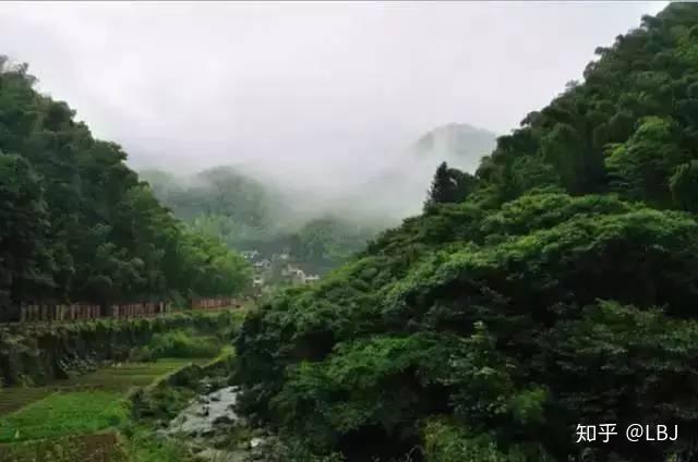 餘姚大隱芝林村進入浙東小九寨芝林古道.