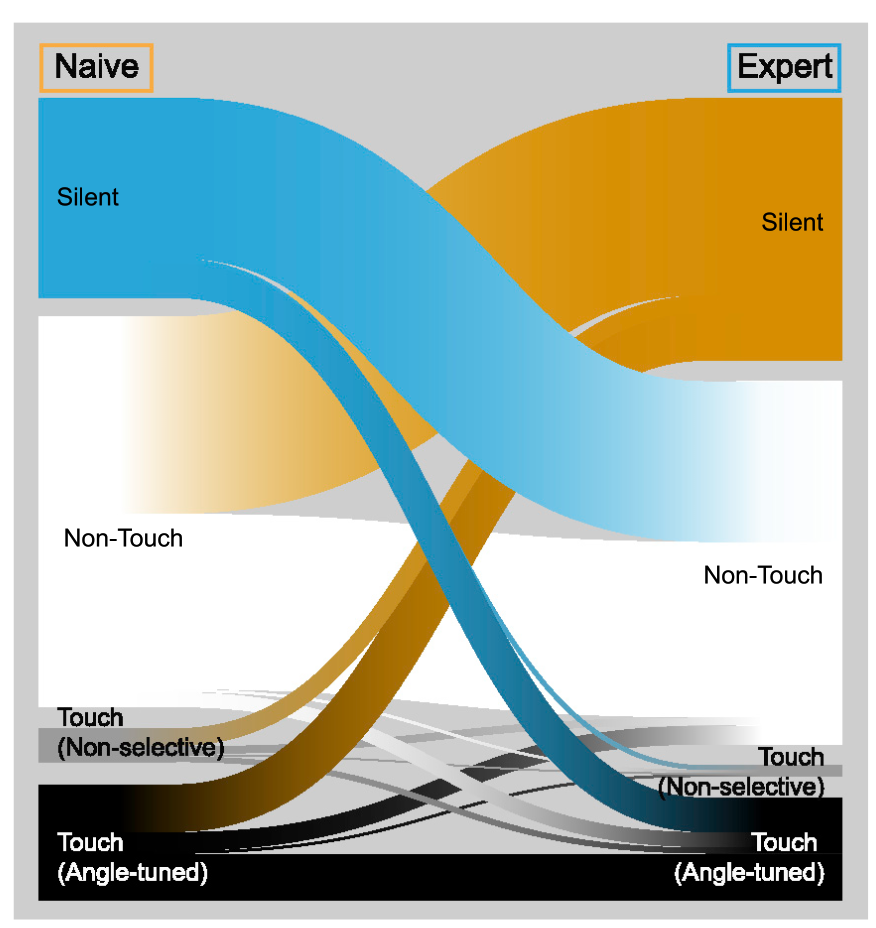 25区(brodmann area 25)和背外侧前额叶(dorsolateral prefrontal