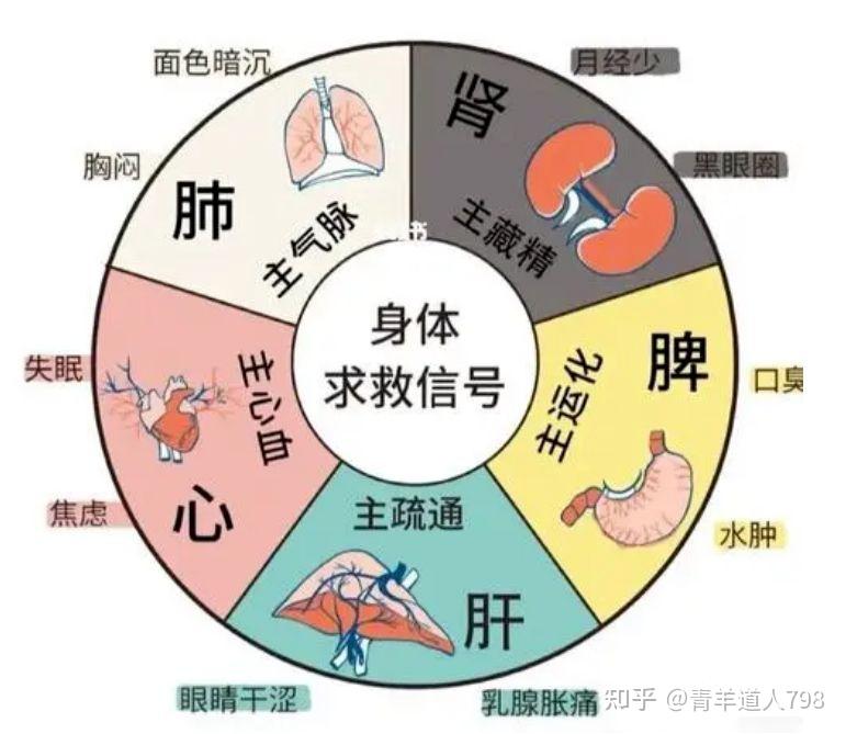 中医面诊秘诀(建议收藏)！！！ - 知乎