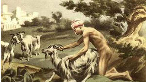 真不是段子 人在笑 羊坏掉 威尔士人日羊是真的吗 双偶网