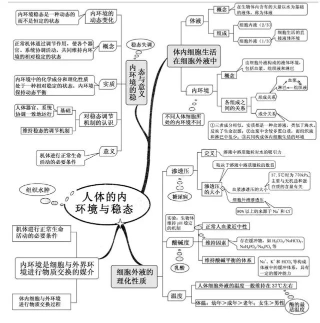 v2-460fd76c8dfbb56514cf3af22752a47e_r.jpg