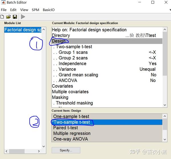 spm12 fMRI t spm12 fmri t