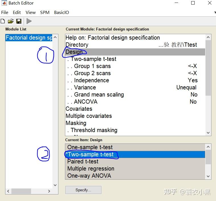  spm12 fmri t 