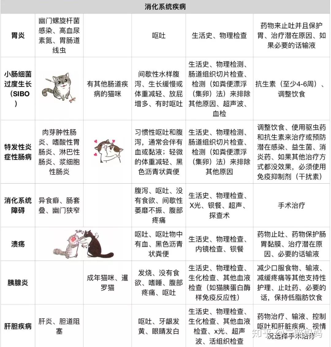 猫家长收藏猫咪呕吐怎么办呕吐严不严重怎么判断要不要去医院