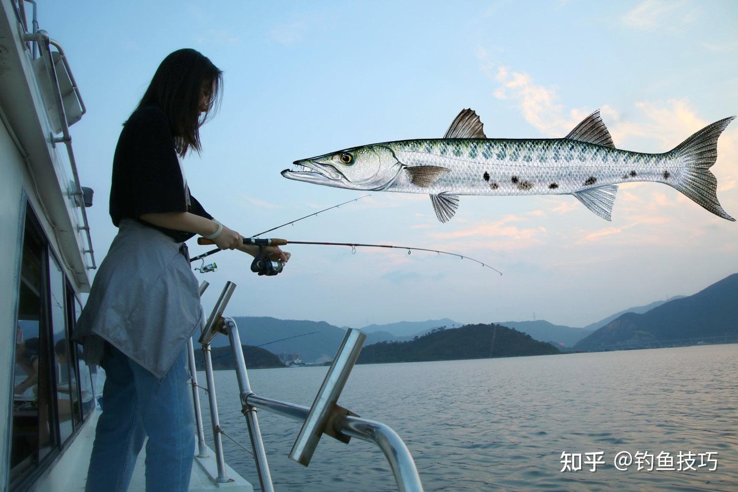 怎样钓梭鱼用什么鱼饵梭鱼的习性和垂钓技巧