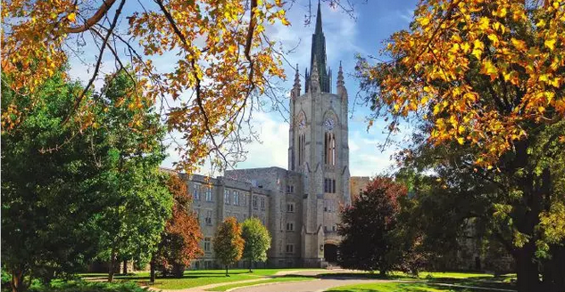 lightglobal韦仕敦大学毕业要求与最强学习攻略分享