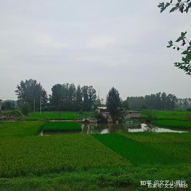 古名芍陂—千年安丰塘古韵｜“楚相祠堂仍好在，胜游思为子留篇” - 知乎