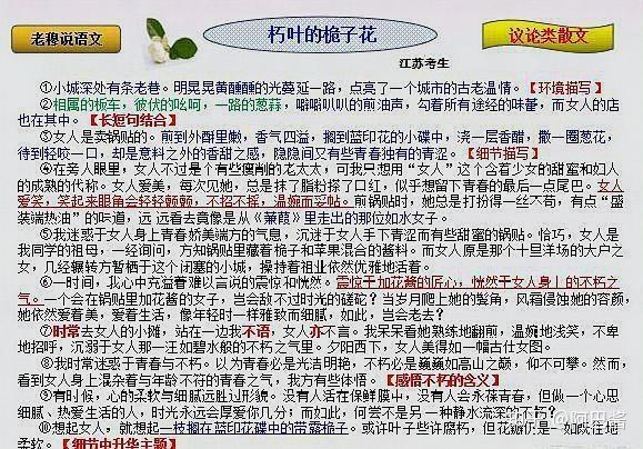 怎样才能写好散文，有何技巧？ - 知乎