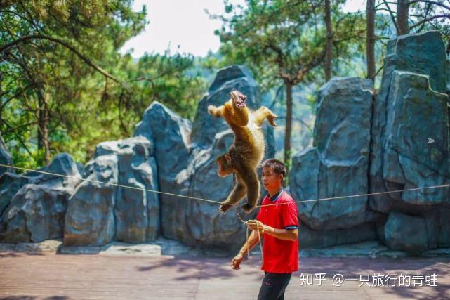 连休8天!国庆中秋放假通知来了!出游攻略给你准备好了!(国庆中秋休息几天)