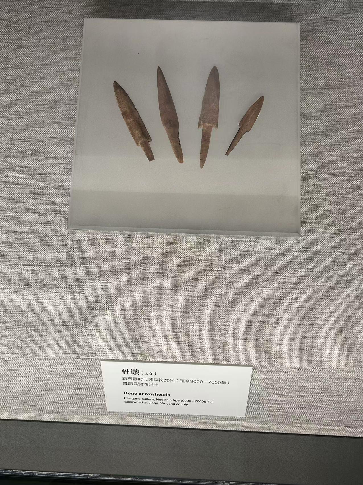 【河南游记】郑州-河南省博物院·展厅一:新石器时期 - 知乎
