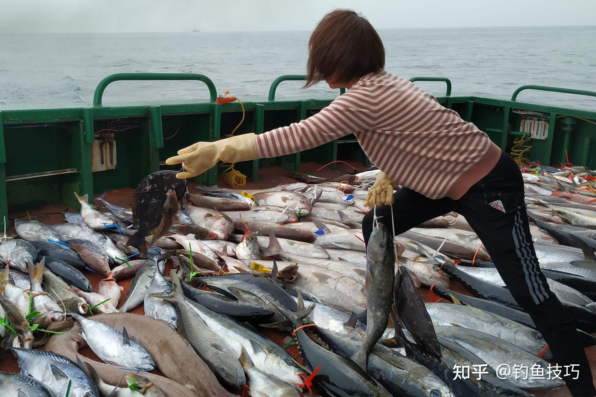 乘船海钓时必须了解的注意事项 - 知乎