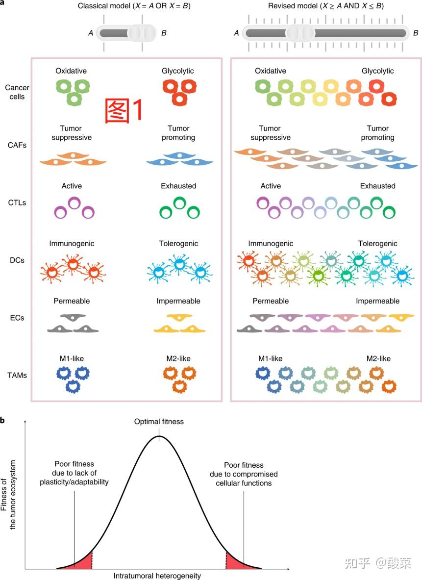 naturemedicine万字综述阐述肿瘤的这个重要特征