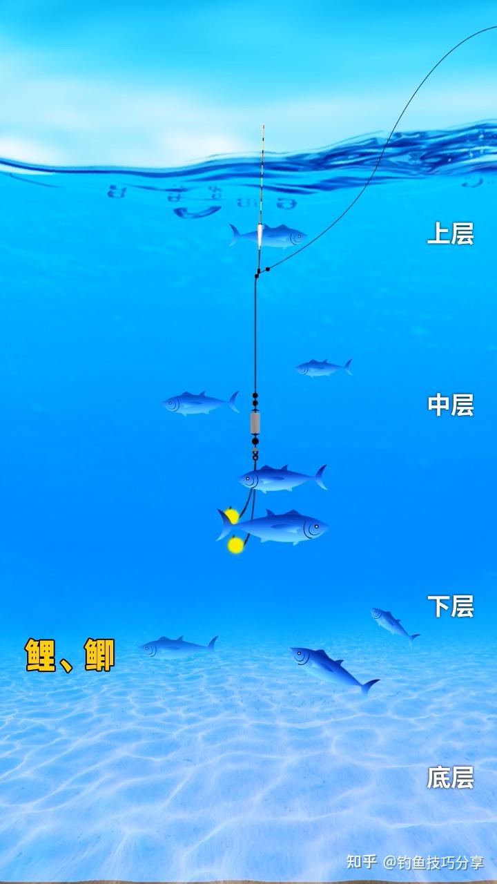 什么是钓浮？ - 知乎