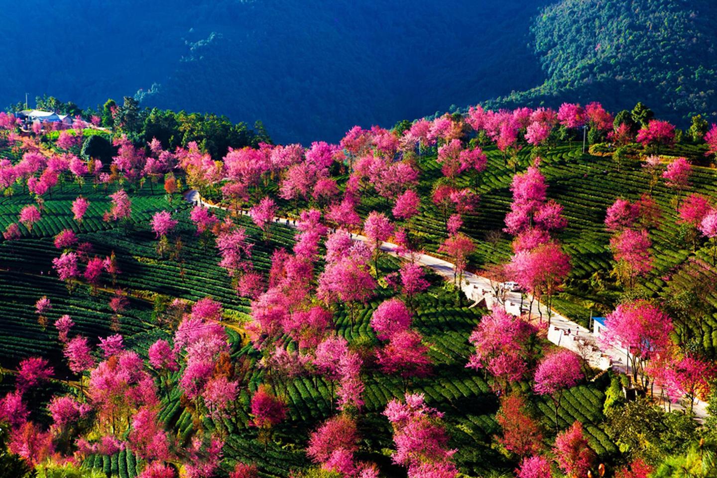 v2-46a1cfb573f73579305bbd377c65d9da_1440w.jpg?source=172ae18b