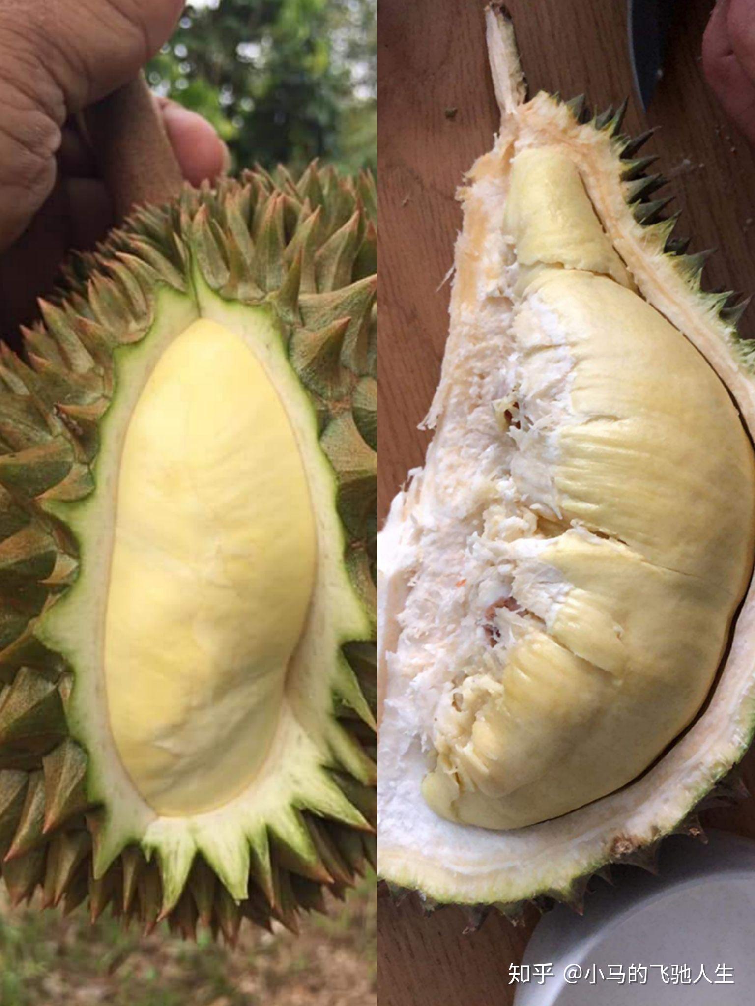 榴莲也是一样,成熟的榴莲敲起来有类似敲门的声音效果,这也是榴莲工厂
