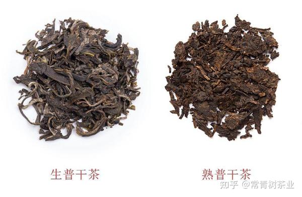 生普和熟普有什么区别?看完这篇文章你就明白了! - 知乎