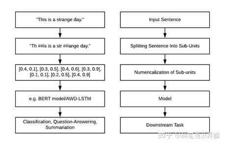 NLP中的Tokenization - 知乎