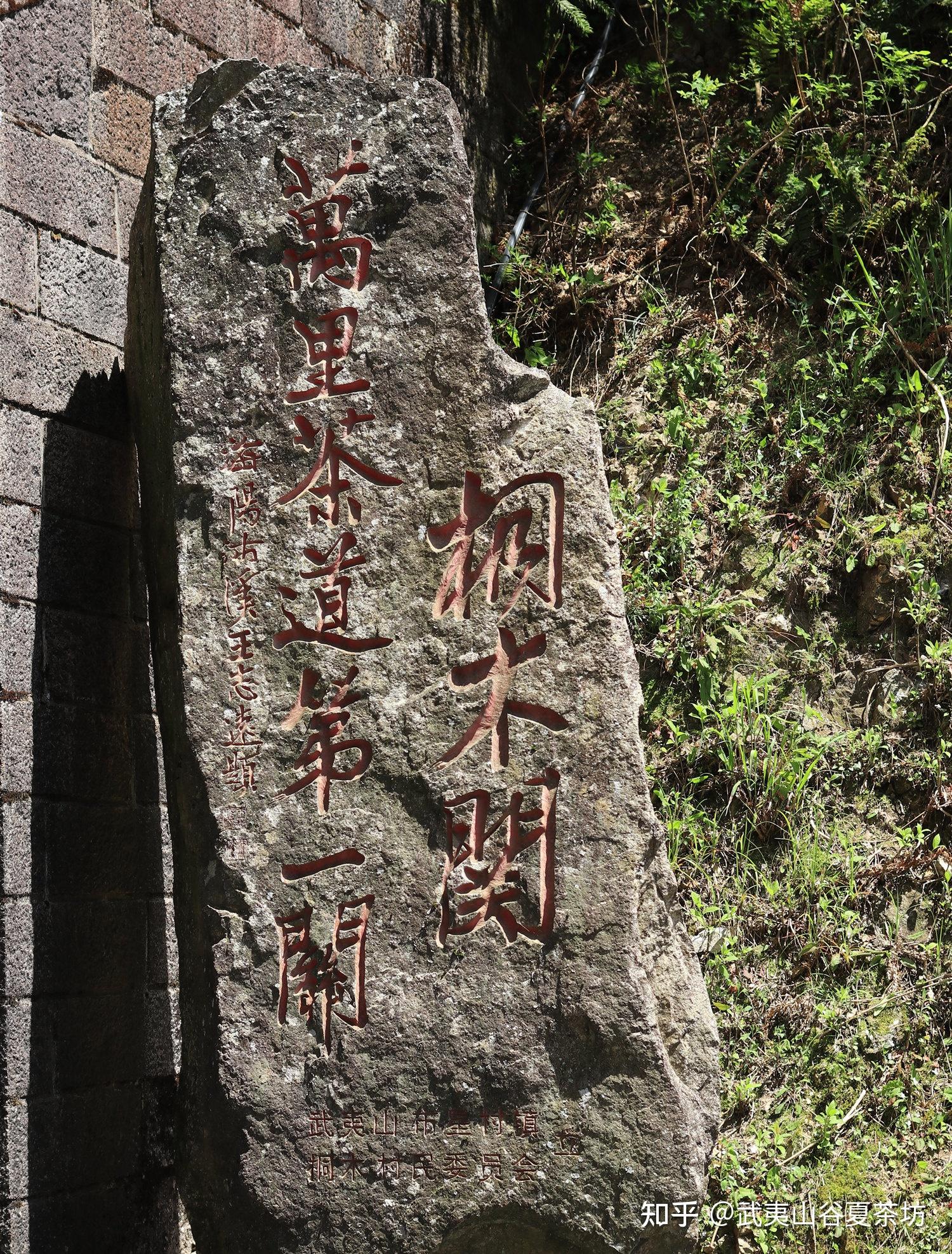 世界红茶的始祖 武夷山桐木关正山小种 - 知乎