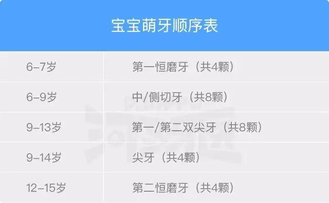 下面为大家讲解"萌牙期的那些事"!