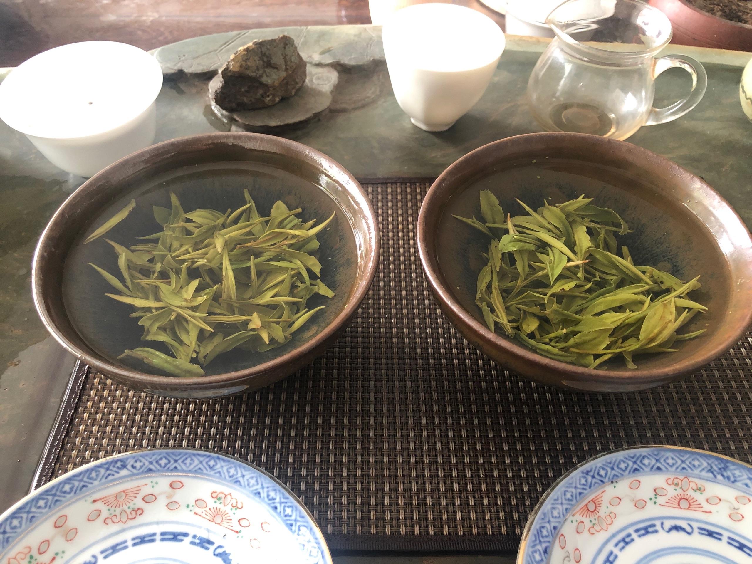 天天泡茶 - 知乎