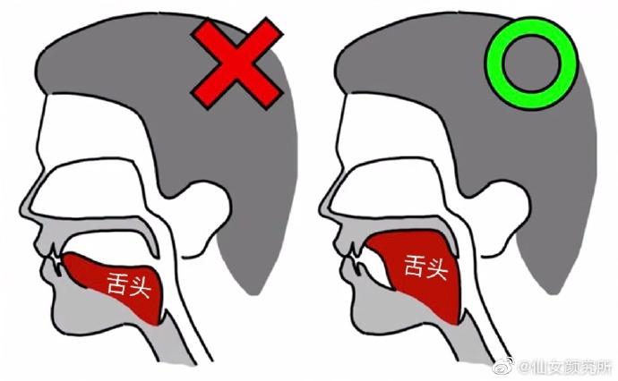 舌頭擺放的位置也會影響一個人的臉型