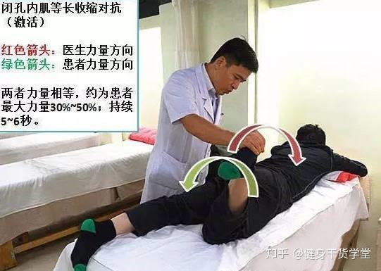 干货每天分享一块肌肉闭孔内肌