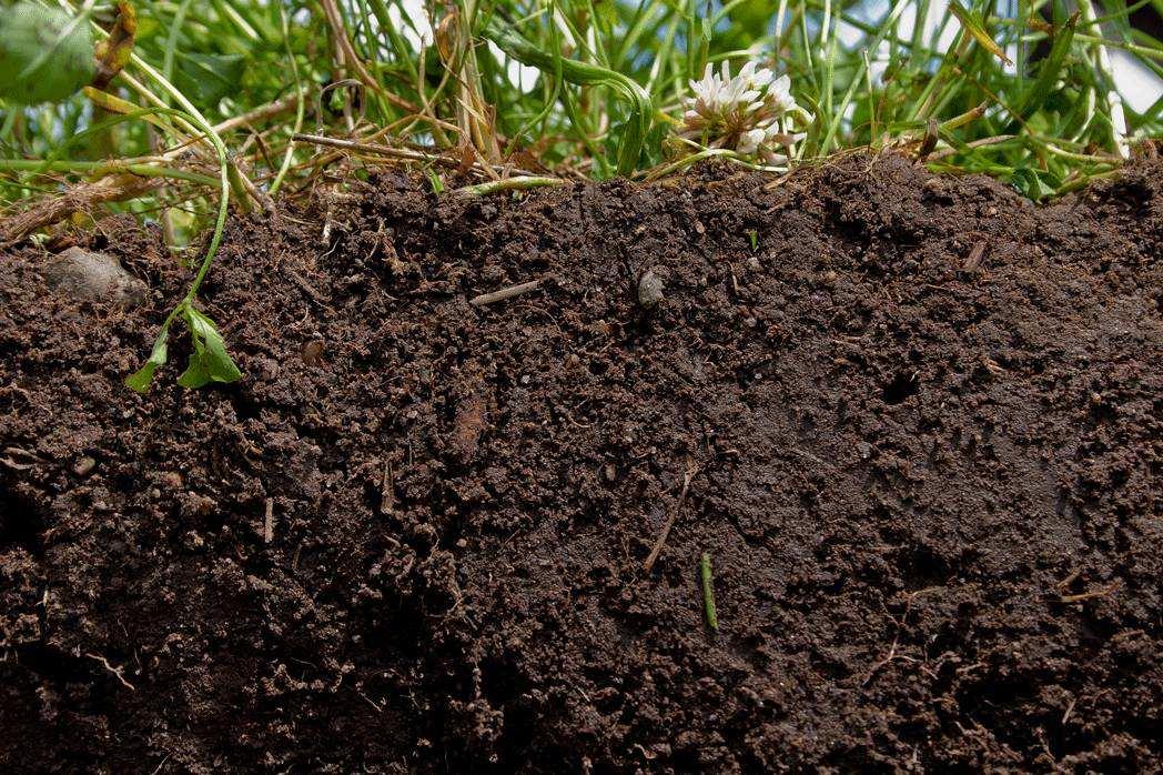 护土丨绿袋肥菌肽增效剂的功效与作用
