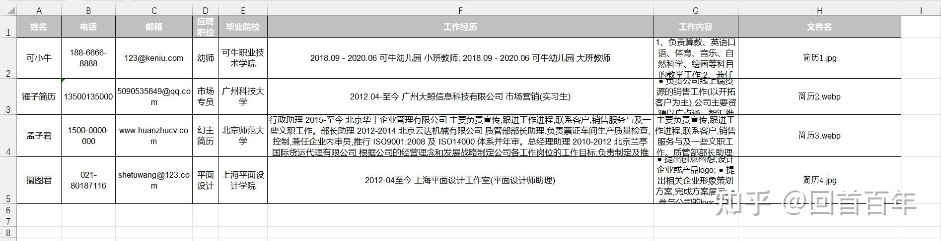 简历信息导出功能展示