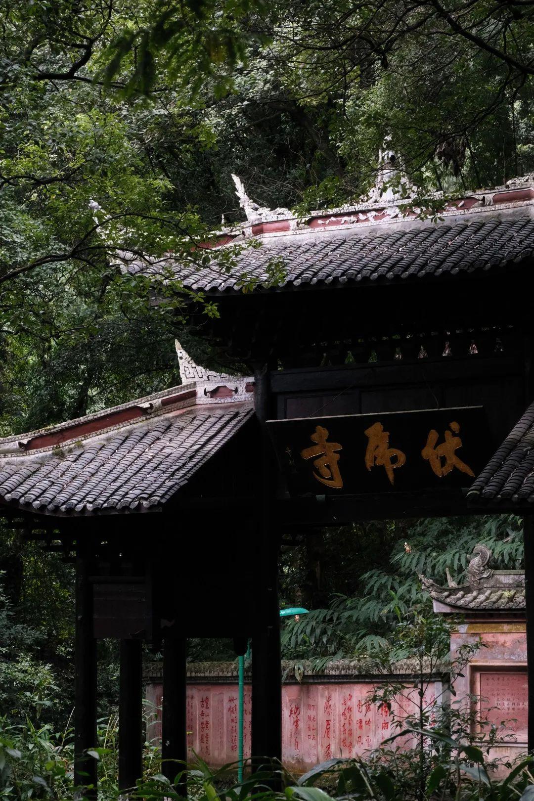 峨眉山报国寺-伏虎寺-雷音寺-纯阳殿-圣水阁-中峰寺一日游徒步线路一
