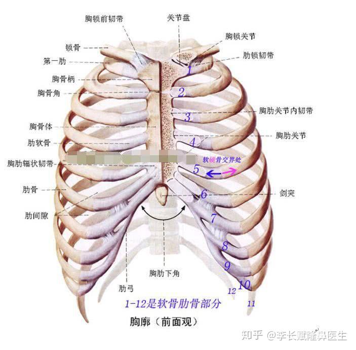 多次假体隆鼻失败之后怎么办肋软骨鼻修复终极之选