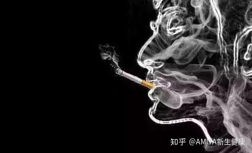 知乎专栏