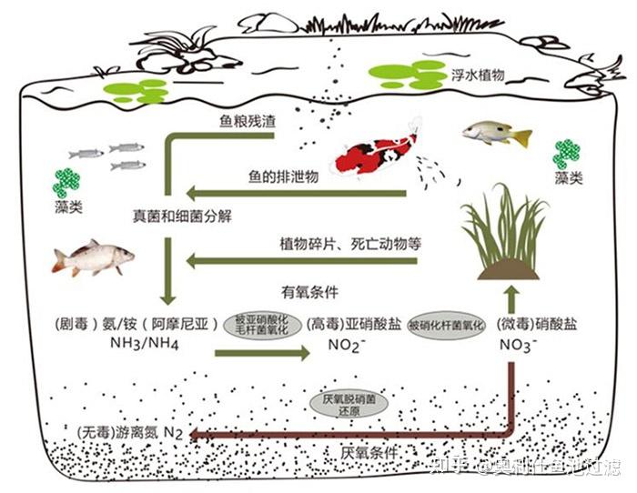 滤材选不对,努力都白费!过滤系统中滤材的选择(下)