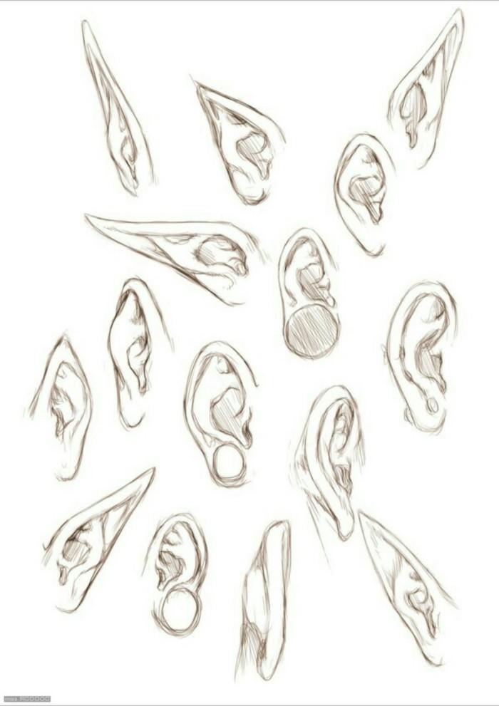 精灵耳朵画法图片