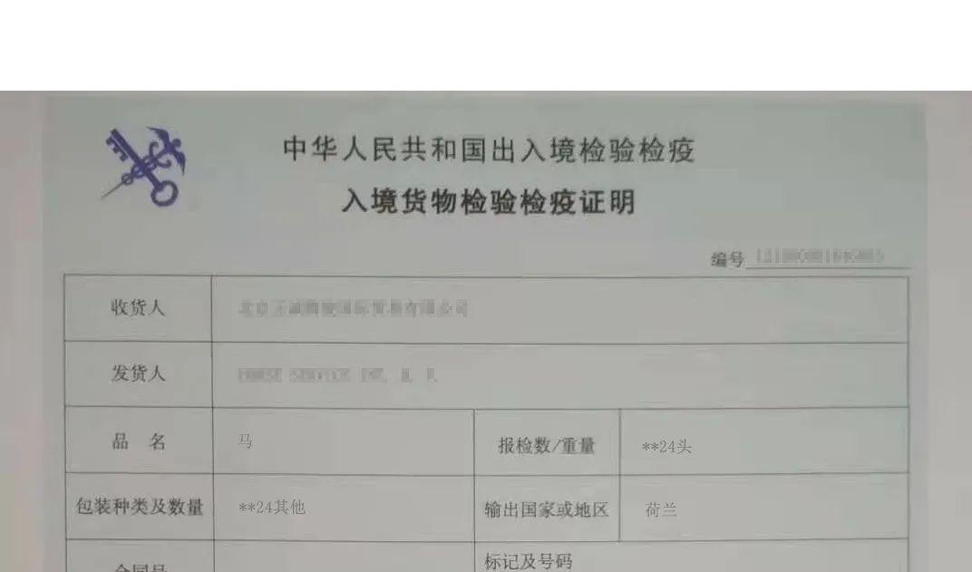 合格的马匹就可以收到《入境货物检验检疫证明》,离开隔离场顺利开启