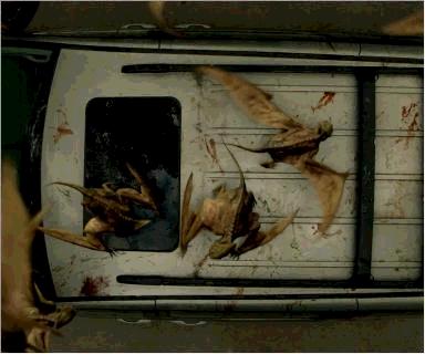 影片中,有大量远景镜头对准数以万计盘旋在空中的蝠蜂,再搭配上它们那