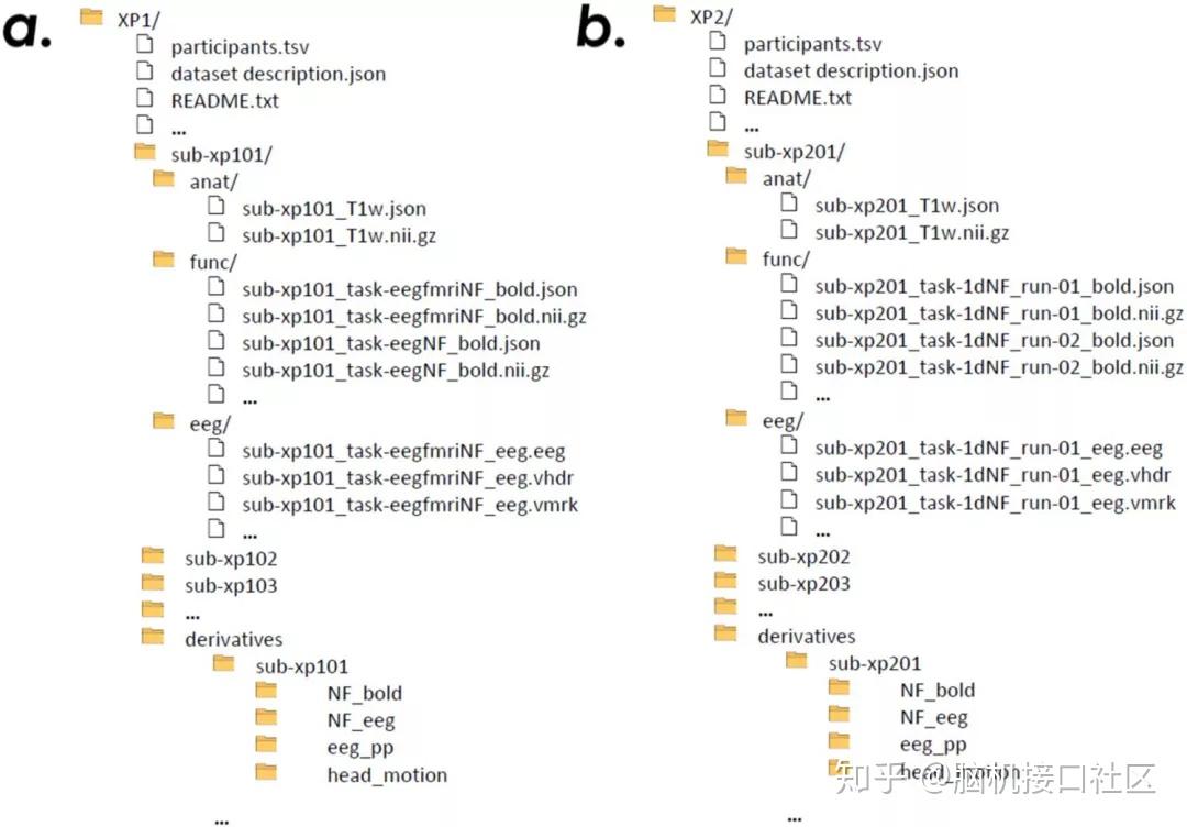 在神经反馈任务中同时进行EEG-fMRI，多模态数据集成的大脑成像数据集 - 知乎