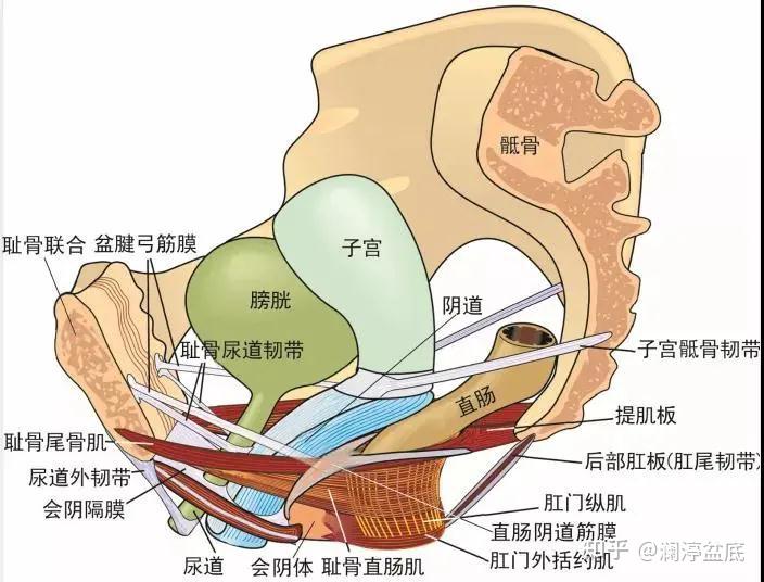 出现这些产后症状