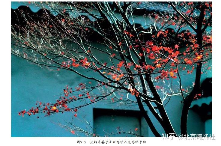 商业摄影培训学院分享彩色反转片的曝光特点 - 知乎