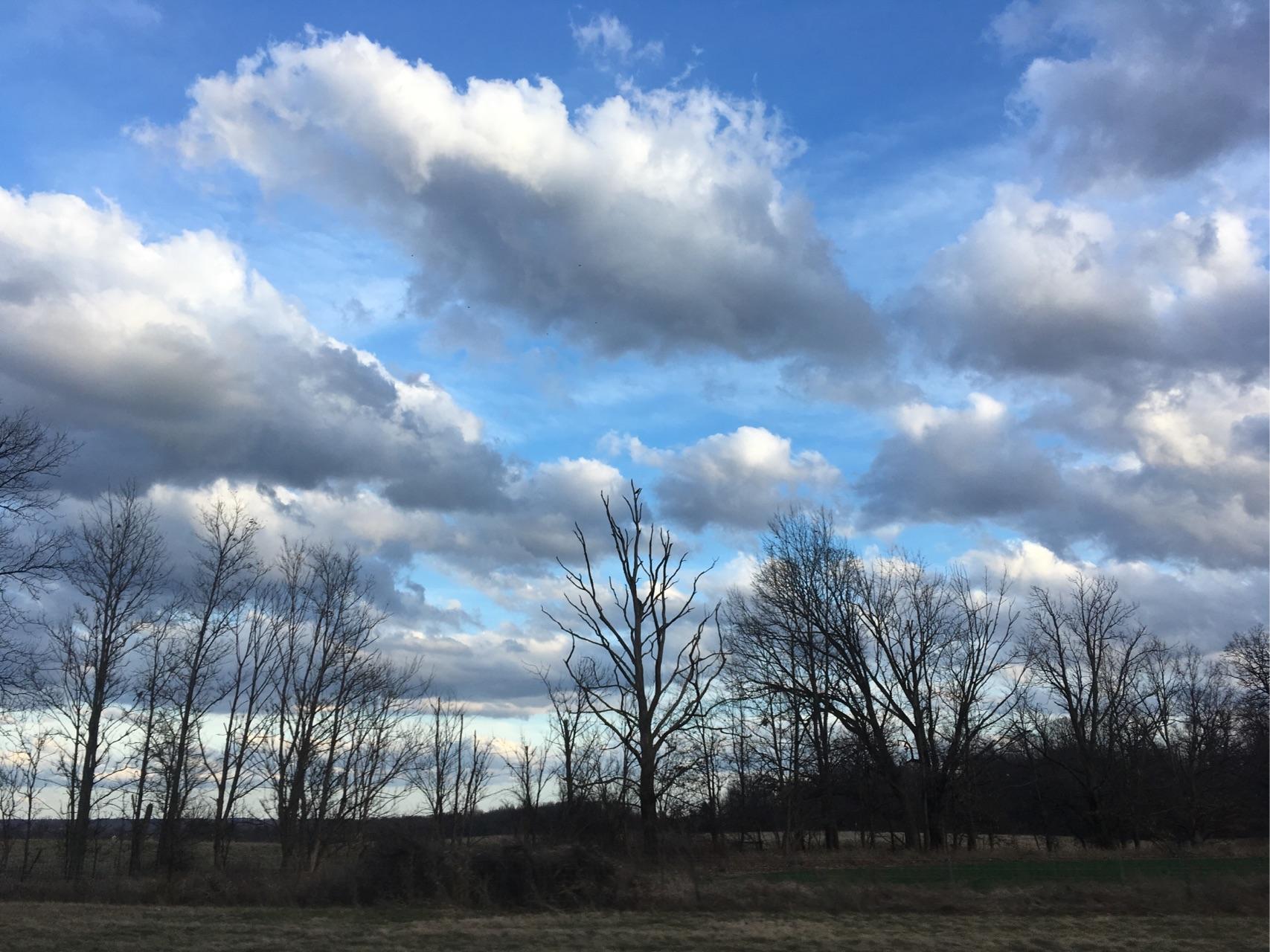 在俄亥俄州立大学 (OSU) 就读是怎样一番体验