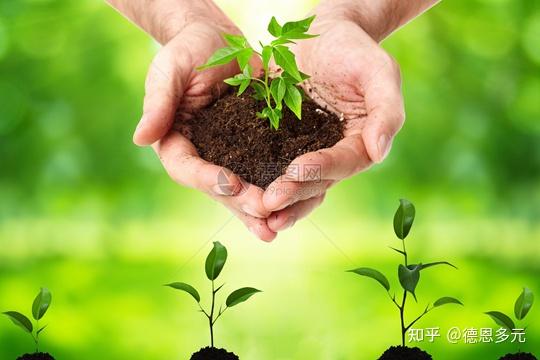 遵循认知规律,促使好奇心升华为 求知欲和探究欲