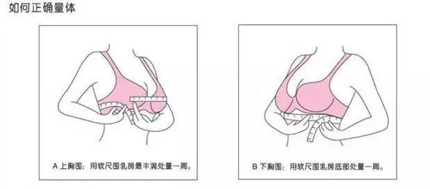 青春期乳房大小图片