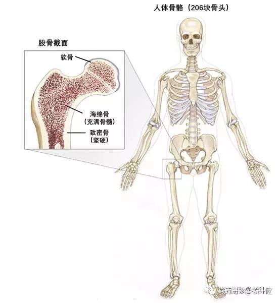 一文读懂骨肿瘤的分类、风险因素和诊断 - 知乎