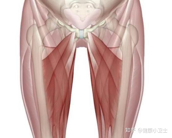 大腿肌肉突然疼痛可能是什么病